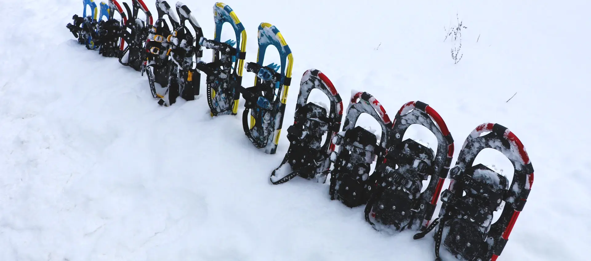 富良野・南富良野・東川のアクティビティツアー Earth Outdoor Tours