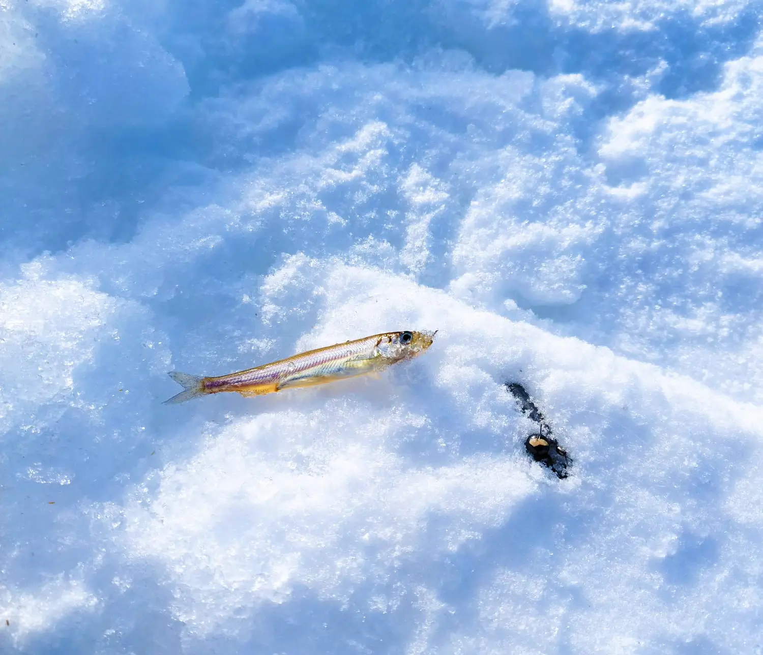 富良野・南富良野・東川のアクティビティツアー Earth Outdoor Tours