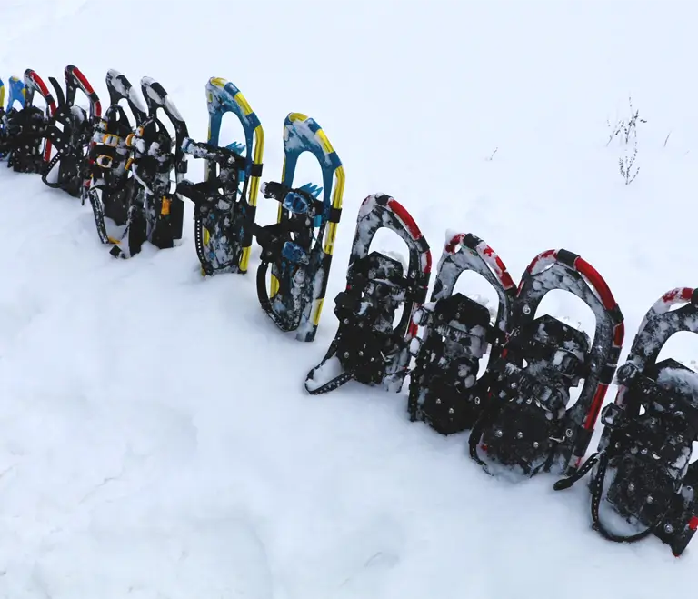 富良野・南富良野・東川のアクティビティツアー Earth Outdoor Tours